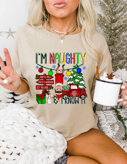 I’m Naughty & I Know It DTF Prints