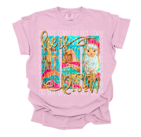 He Is Risen DTF Prints