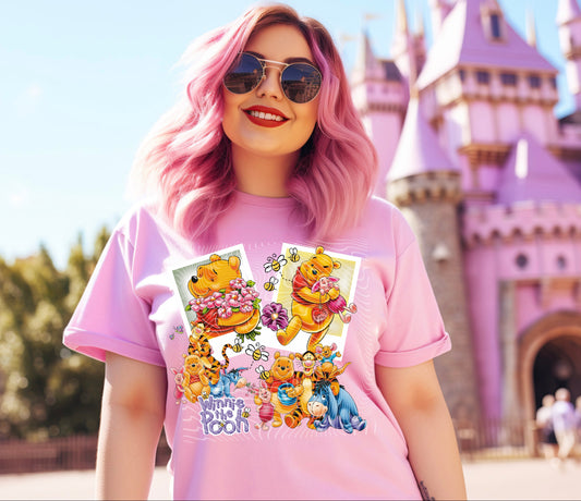 Polaroid Style Pooh And Friends DTF Print
