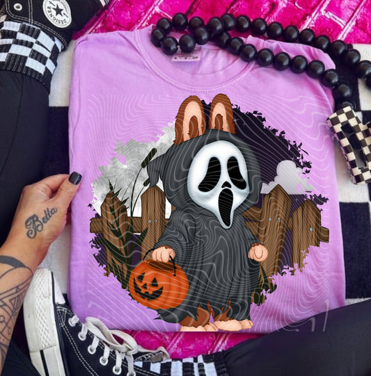 Halloween Ghost BooBoo DTF Prints