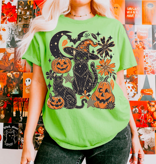 Black Spooky Cat & Pumpkins DTF Prints